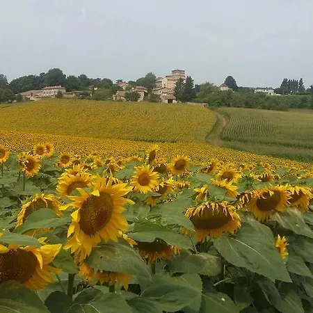 La Boheme Semesterbostad Berneuil (Charente)